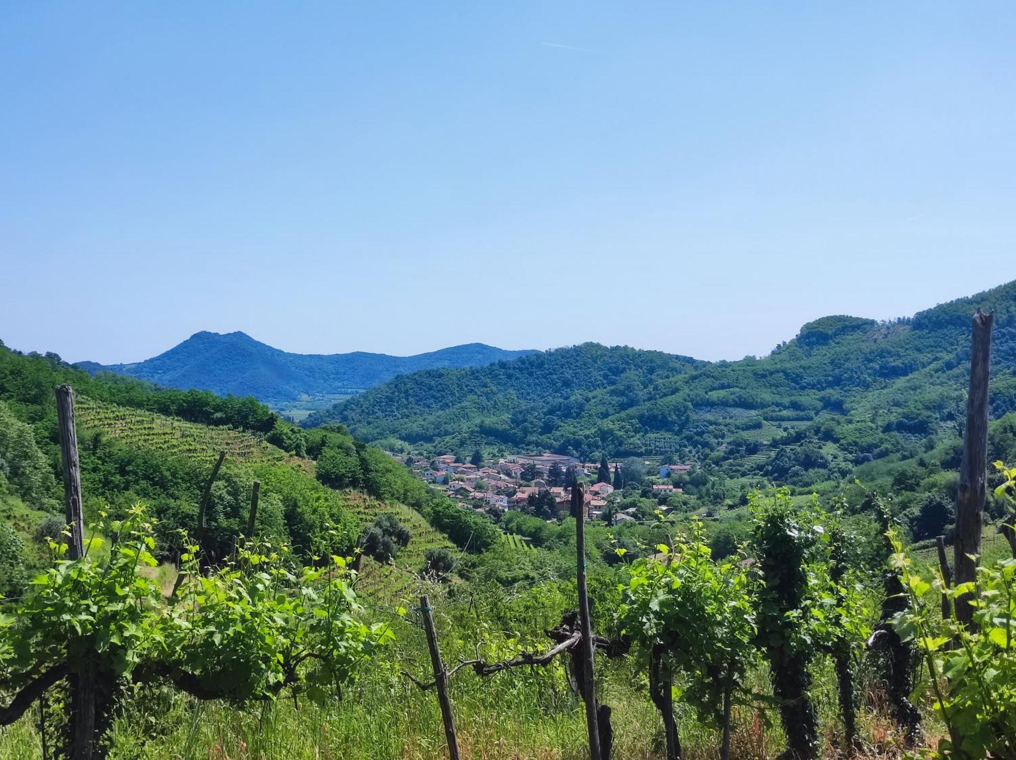 Residence Magnolia Galzignano Terme Exterior photo